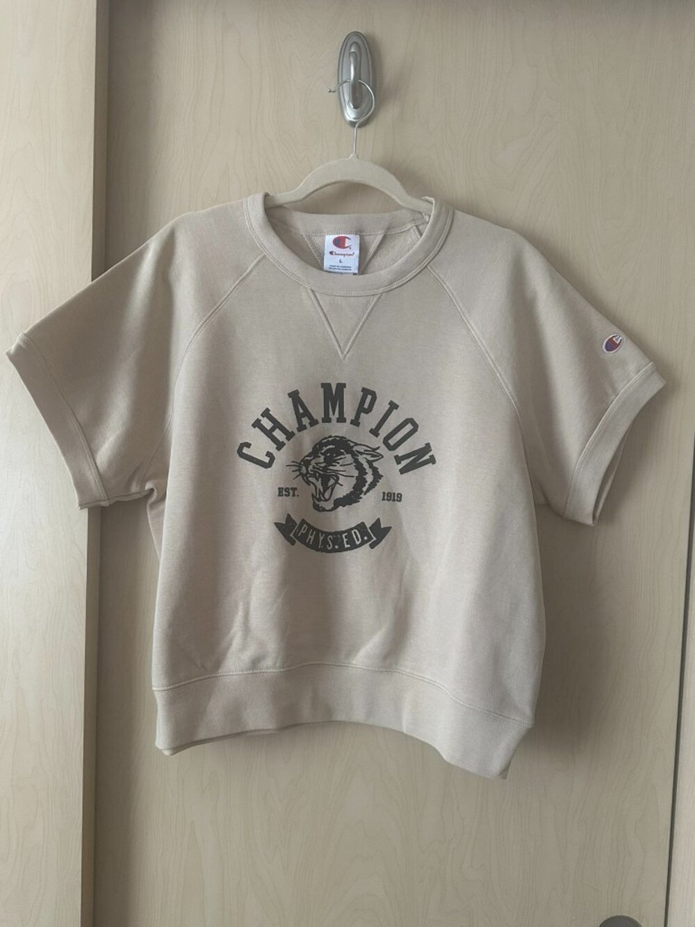 Champion Short Sleeve Cropped Sweatshirt Oversized
